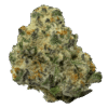 Cadallic-Rainbow-web-FULL-600x600