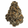 El-Chivo-web-FULL-600x600