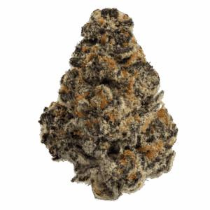 El-Chivo-web-FULL-600x600