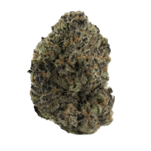Gush-Mintz-WEB-600x600