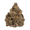 Lizard-Burger-web-FULL-600x600