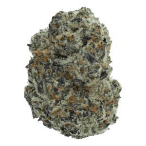 Oreoz-v2-Strain-WEB-600x600