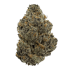 Purple-Voodoo-Web-600x600