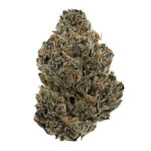 Purple-Voodoo-Web-600x600
