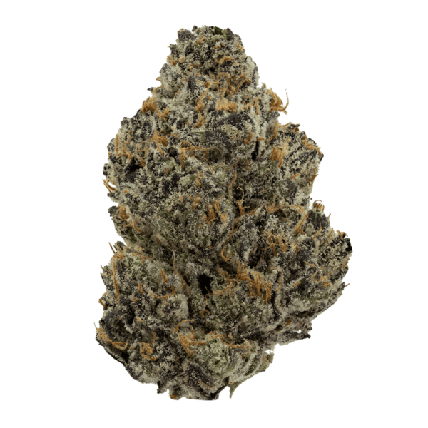 Purple-Voodoo-Web-600x600