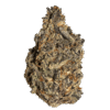 Scorpion-Full-600x600