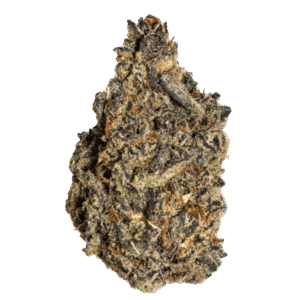 Scorpion-Full-600x600