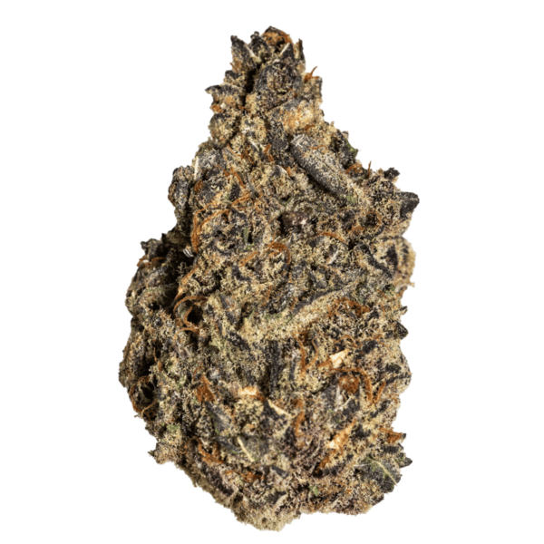 Scorpion-Full-600x600