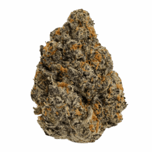 Sugar-Runtz-web-600x600