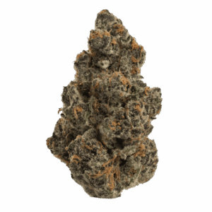 Super-Boof-web-5.8.25-600x600