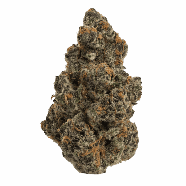 Super-Boof-web-5.8.25-600x600