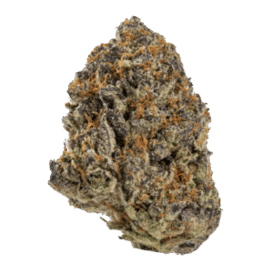 Super-Jack-Web-FULL-600x600
