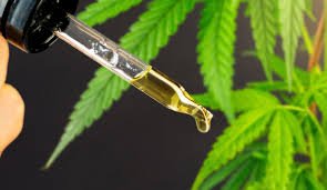 cannabis